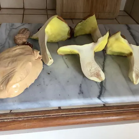 Homestay Sylvie Et Olivier *