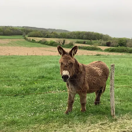 Homestay Sylvie Et Olivier Saint-Sozy