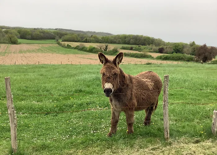 Alloggio in famiglia Sylvie Et Olivier Saint-Sozy